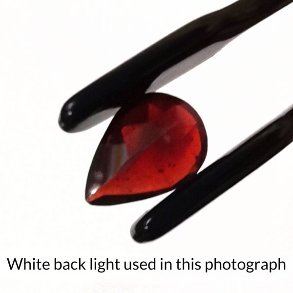 The slightly orangy red garnet teardrop gem is being held in a pair of tweezers while being backlit with a bright white light to show the inclusions within the gem more clearly.
