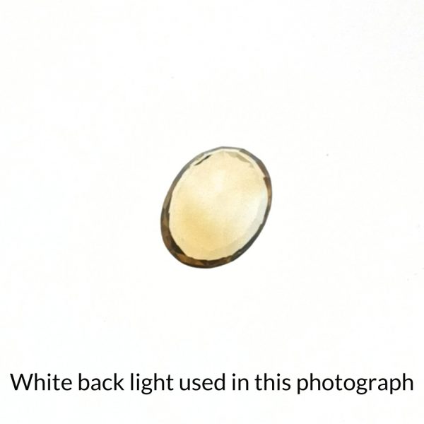 The yellow citrine oval gem is being back-lit with a bright white light to show any inclusions within the gem more clearly.