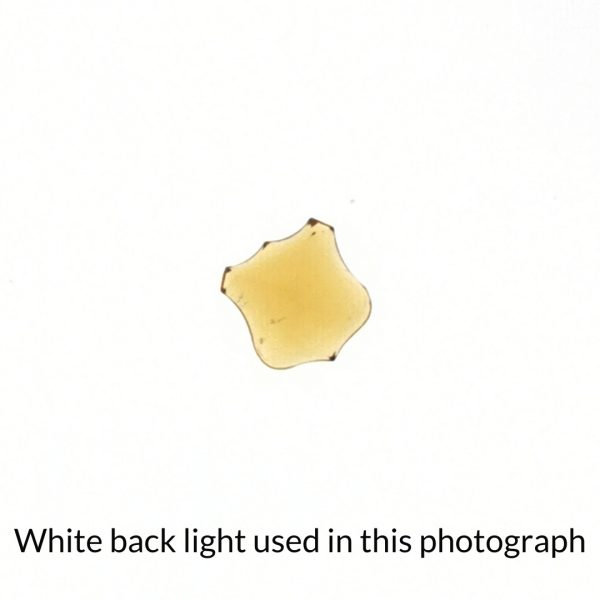 The fancy orange citrine gem is being back-lit with a bright white light to show any inclusions within the gem more clearly.