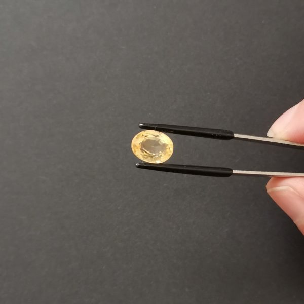 A photo of the crown area of the golden yellow against a black background