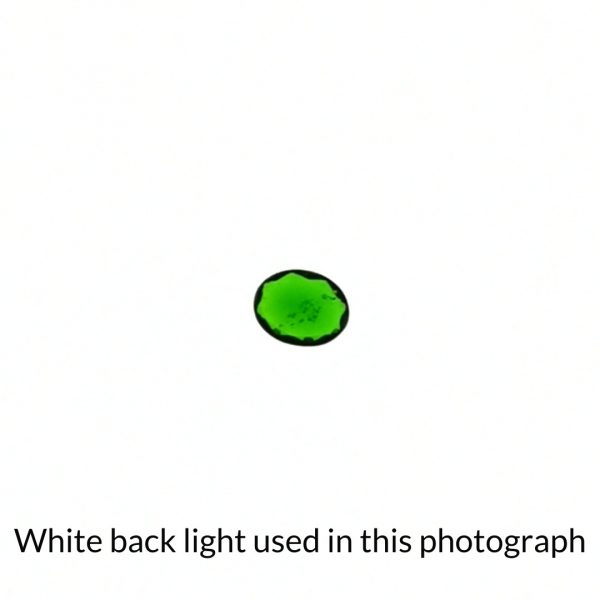 The green diopside oval gem is being back-lit with a bright white light to show any inclusions within the gem more clearly.