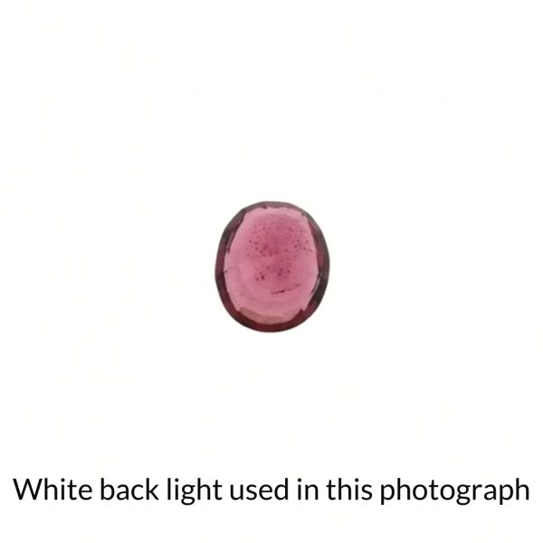 The deep pink garnet oval gem is being back-lit with a bright white light to show any inclusions within the gem more clearly.