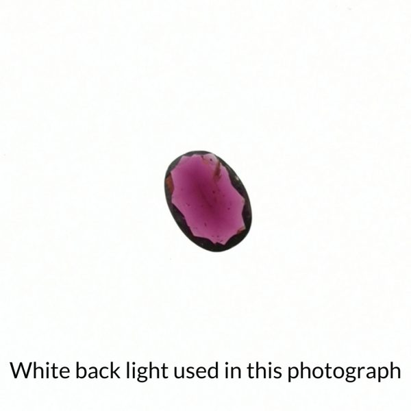 The red-purple garnet oval gem is being back-lit with a bright white light to show any inclusions within the gem more clearly.