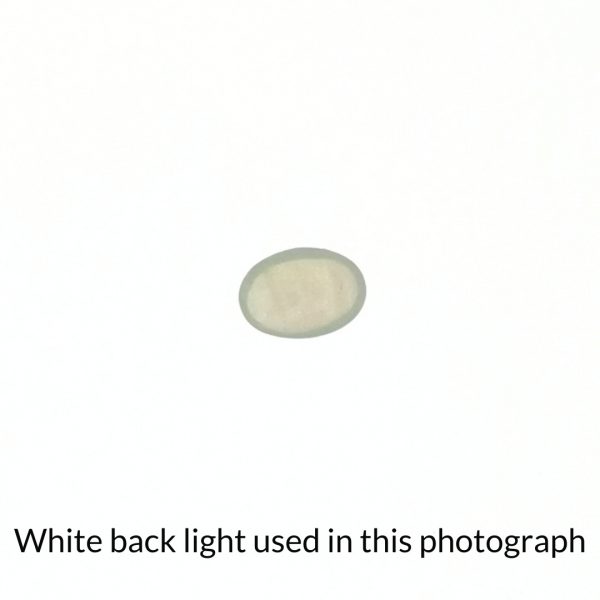 The white opal oval cabochon gem is being back-lit with a bright white light to show any inclusions within the gem more clearly.