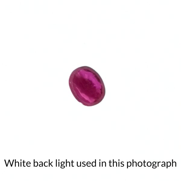 The ruby oval gem is being back-lit with a bright white light to show any inclusions within the gem more clearly.
