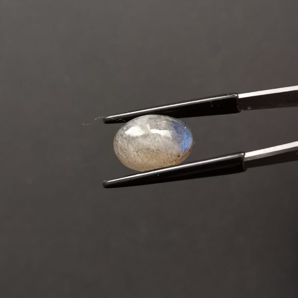 A photo of the crown area of the grey labradorite against a black background