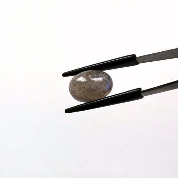 A photo of the crown area of the grey labradorite against a white background