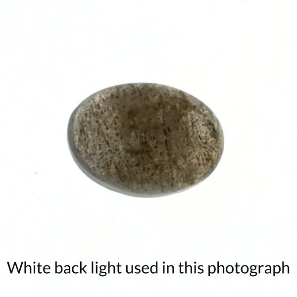 The oval labradorite gem is being back-lit with a bright white light to show any inclusions within the gem more clearly.