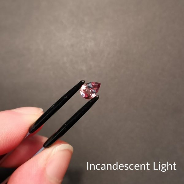 A photo of the crown area of the colour change garnet under an incandescent light showing it goes a pinkish colour.