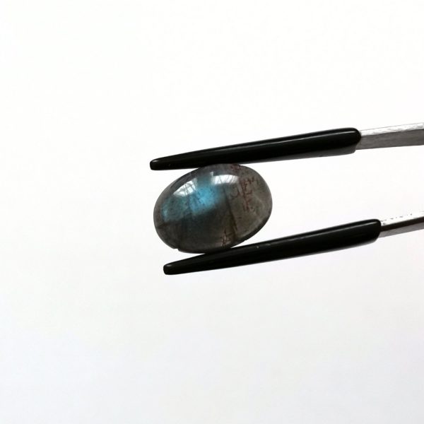 A photo of the crown area of the dark grey labradorite against a white background