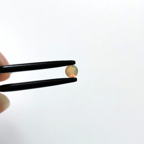 A photo of the crown area of the opal against a white background