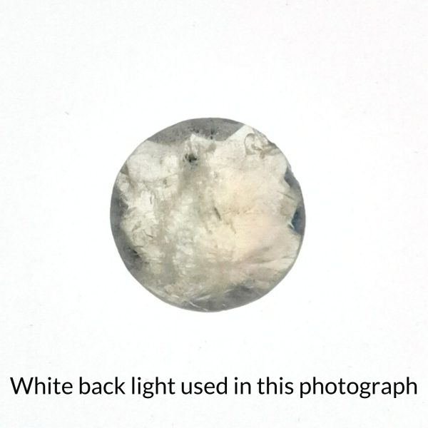 The round shaped moonstone gem is being back-lit with a bright white light to show any inclusions within the gem more clearly.