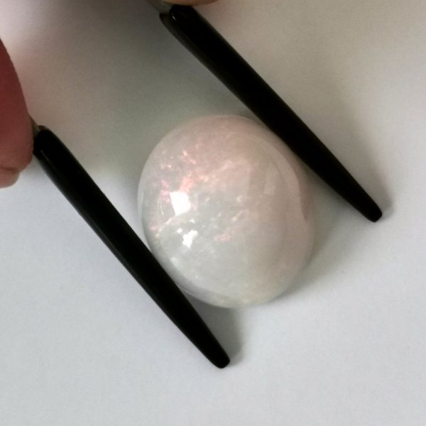 A photo of the crown area of the white opal against a white background