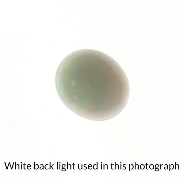 The oval shaped opal gem is being back-lit with a bright white light to show any inclusions within the gem more clearly.