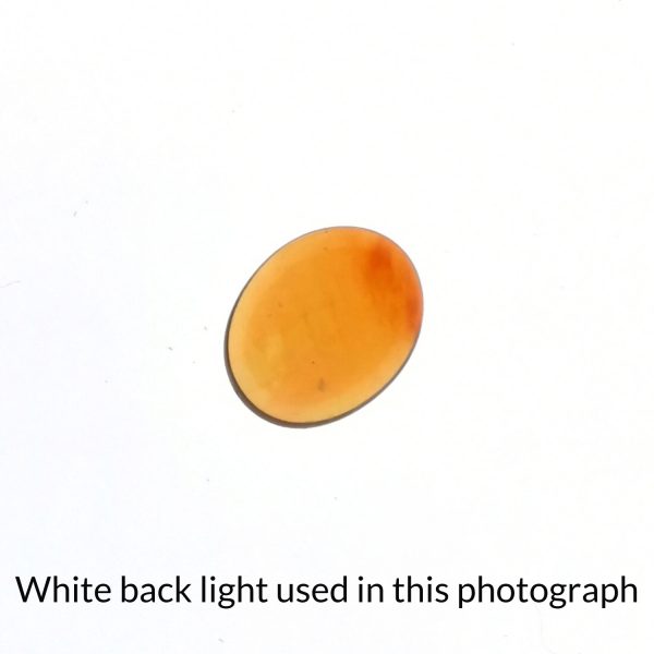 The oval fire opal gem is being back-lit with a bright white light to show any inclusions within the gem more clearly.