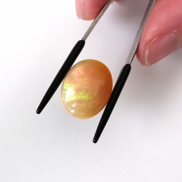 A photo of the crown area of the orange and cream opal against a white background