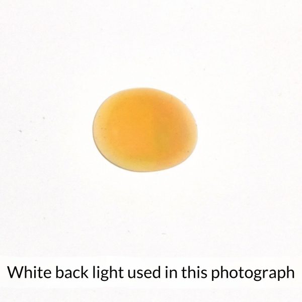 The oval shaped fire opal gem is being back-lit with a bright white light to show any inclusions within the gem more clearly.