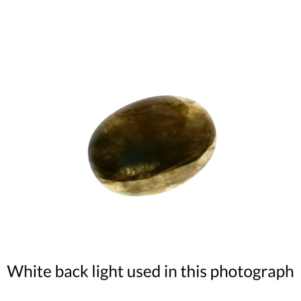 The labradorite oval gem is being back-lit with a bright white light to show any inclusions within the gem more clearly.
