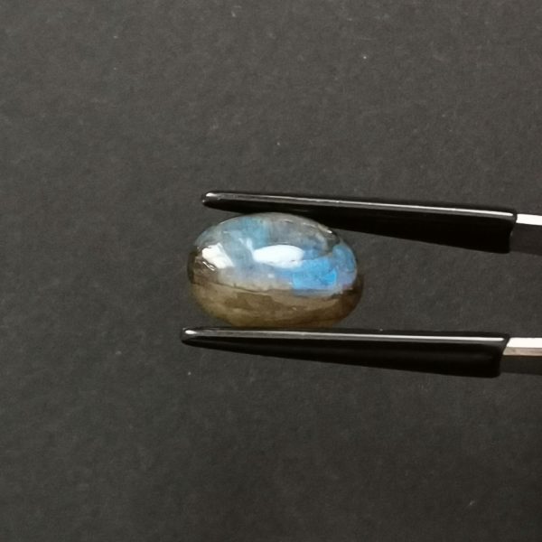 A photo of the crown area of the labradorite against a black background