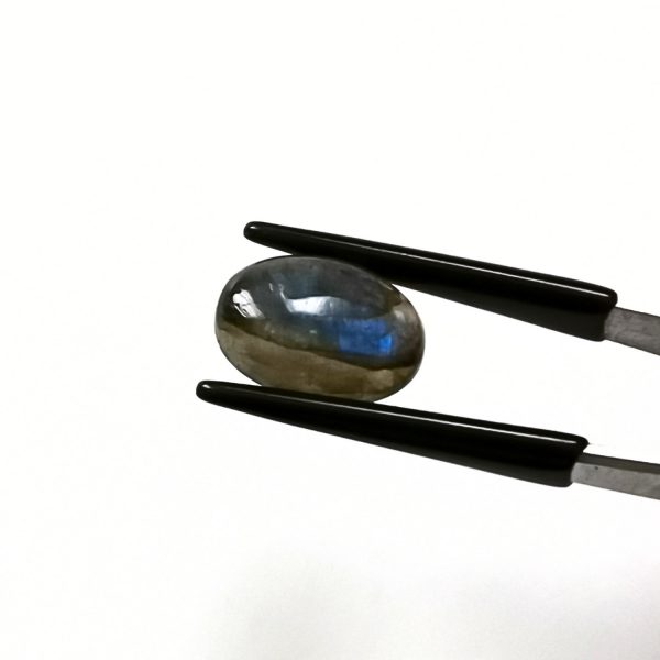 A photo of the crown area of the dark labradorite against a white background