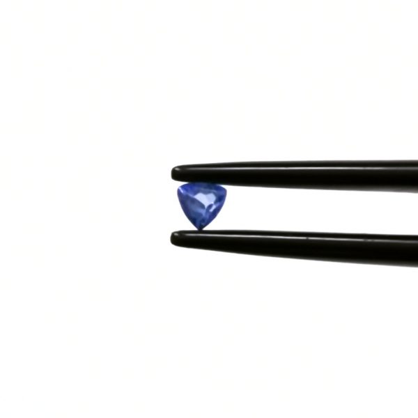 A photo of the crown area of the violet tanzanite against a white background