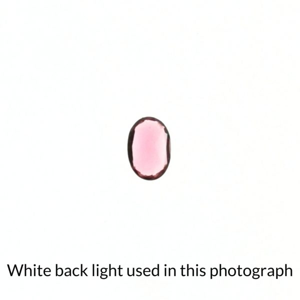 The tourmaline oval gem is being back-lit with a bright white light to show any inclusions within the gem more clearly.