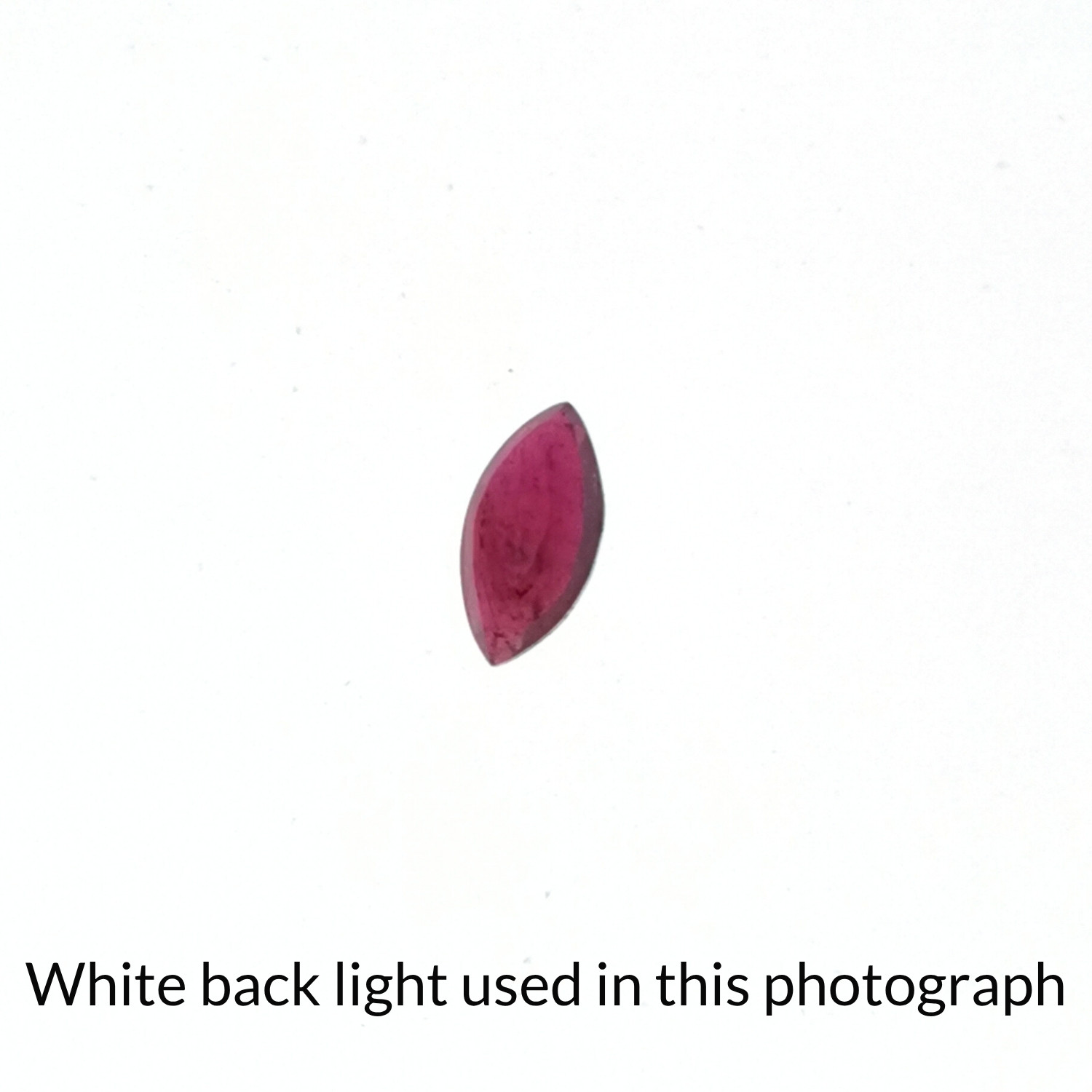 The red ruby marquise gem is being back-lit with a bright white light to show any inclusions within the gem more clearly.