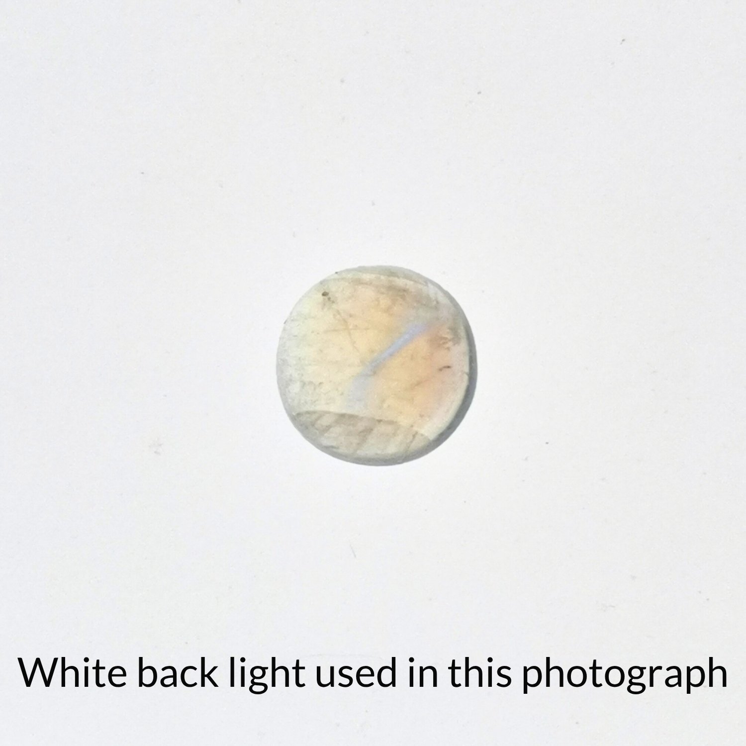 Round Moonstone Cabochon – 7mm - 1.46 ct - Image 5