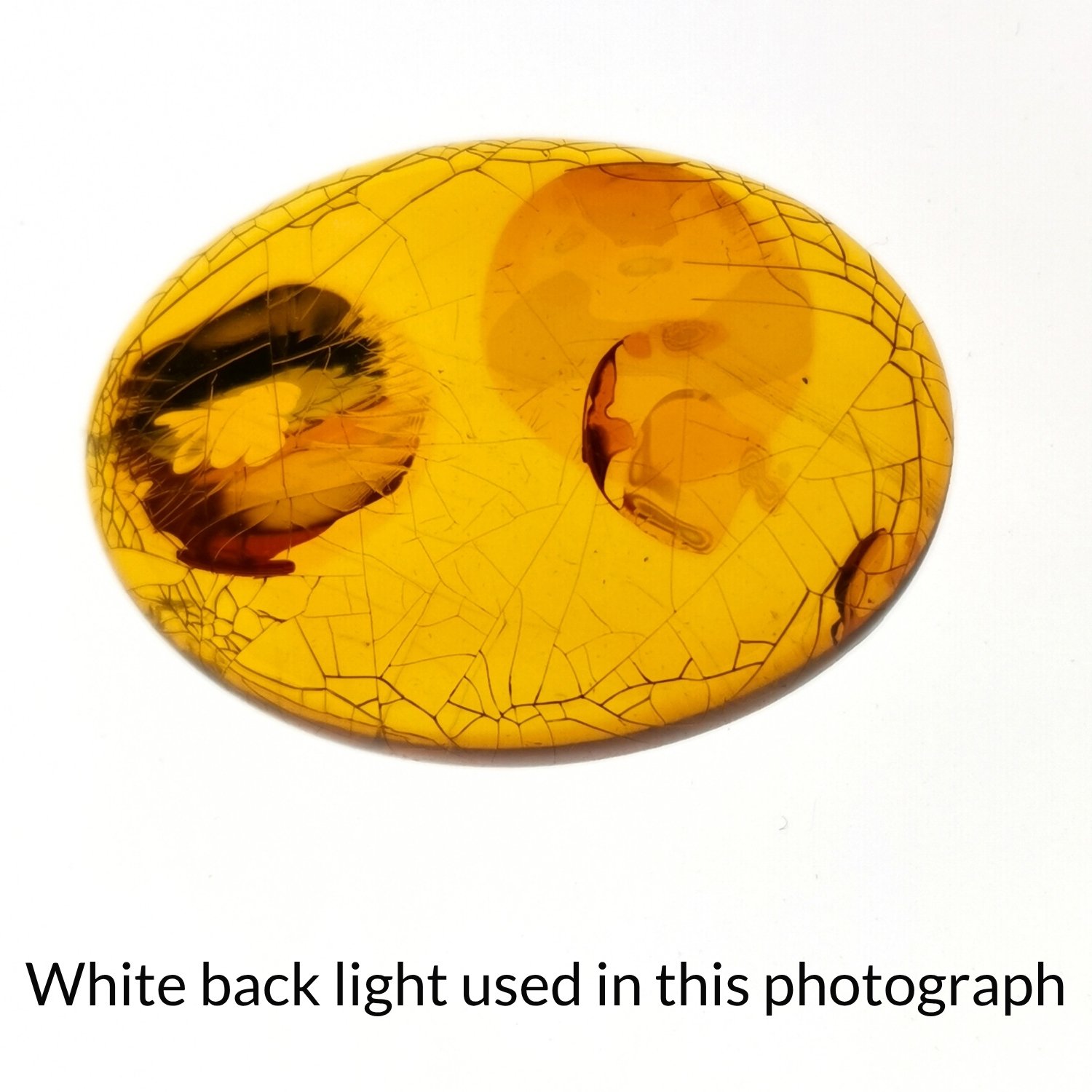 Oval Amber Cabochon – 29.9mm by 22mm - Image 5