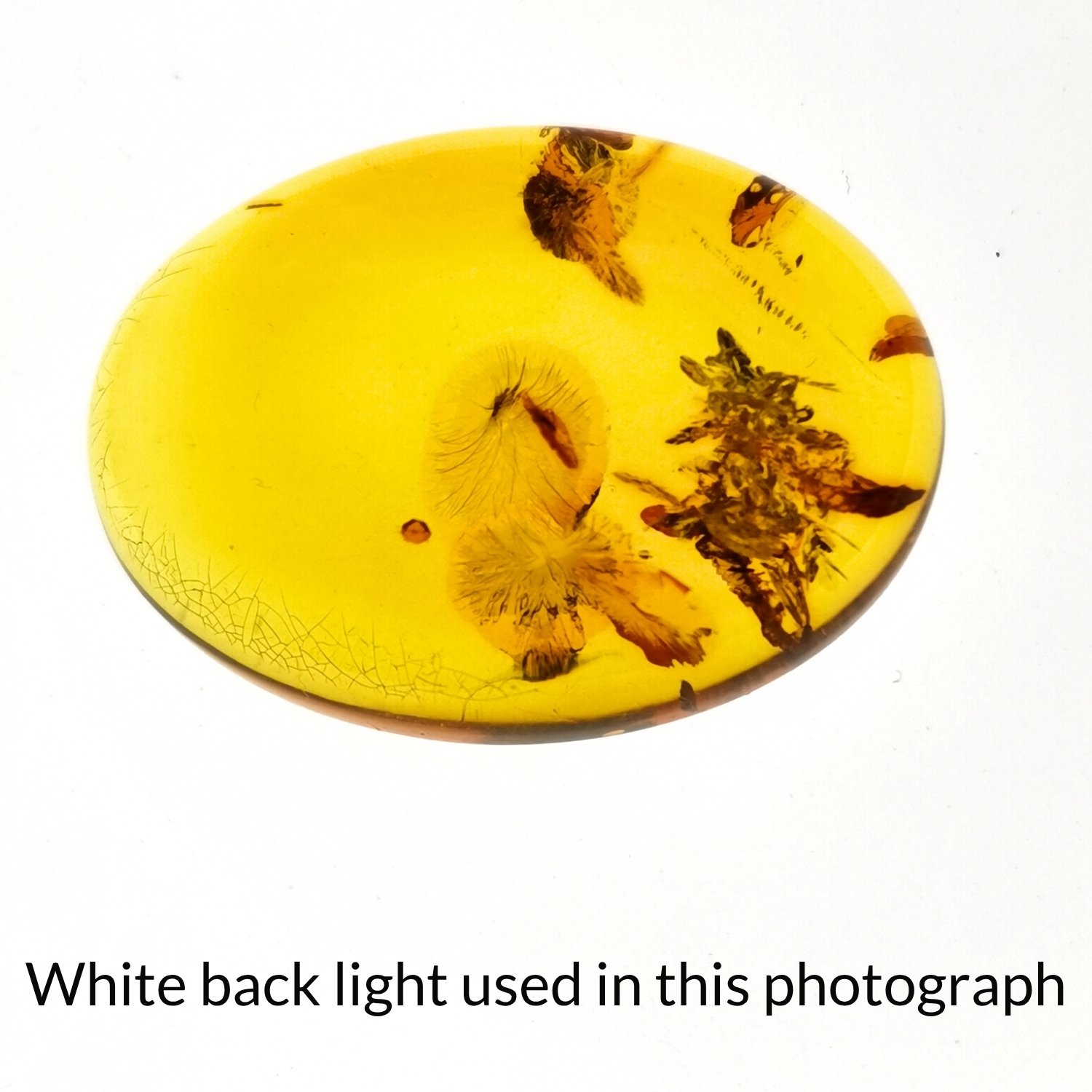 Oval Amber Cabochon – 30mm by 22.1mm - Image 5