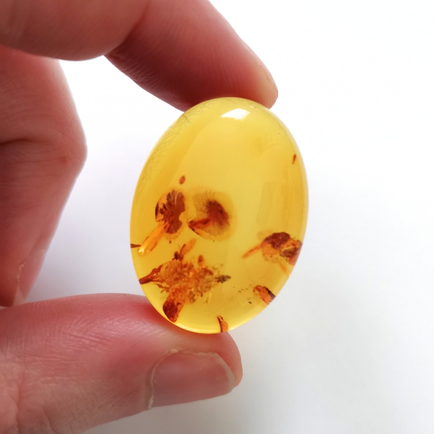 Oval Amber Cabochon – 30mm by 22.1mm - Image 3