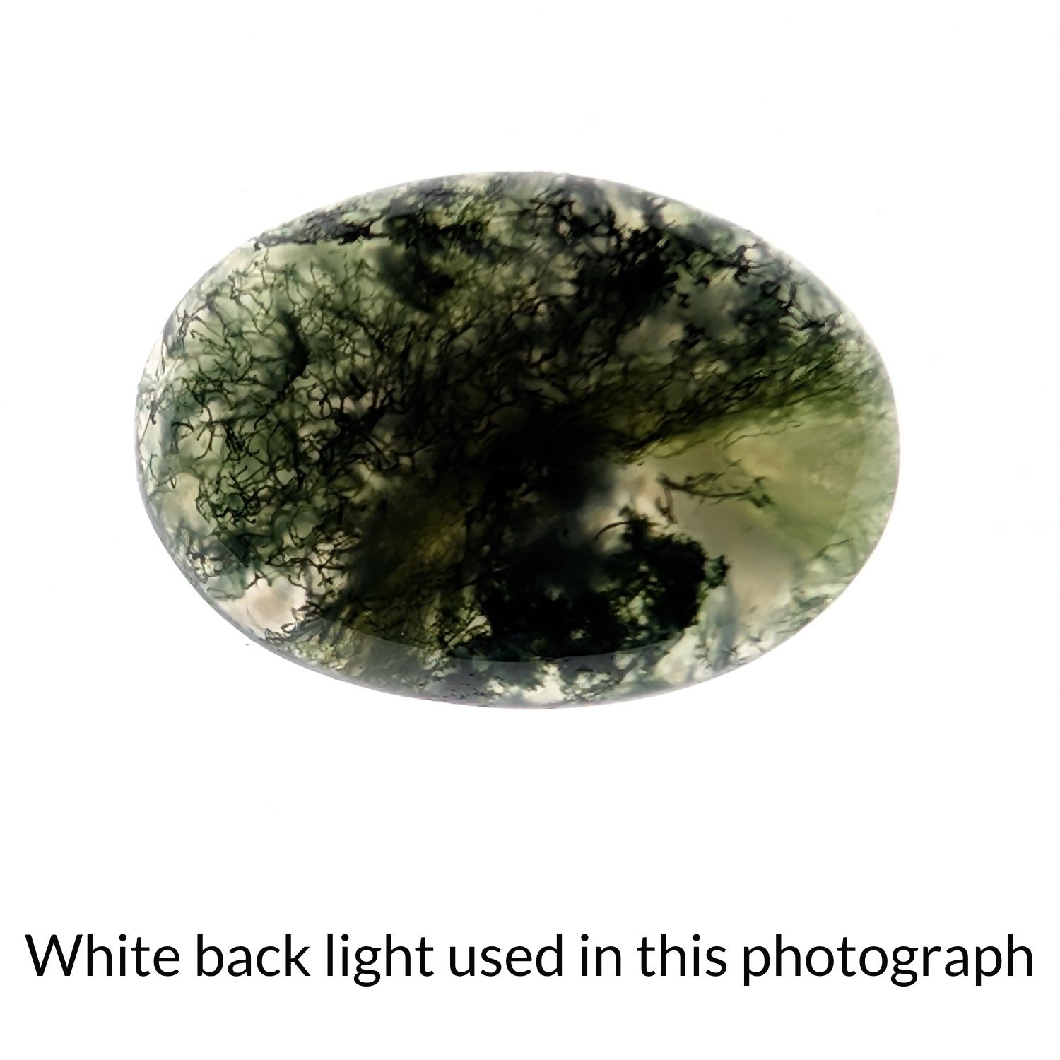 Moss Agate Oval Cabochon - 23.3mm by 16.7mm - Image 5