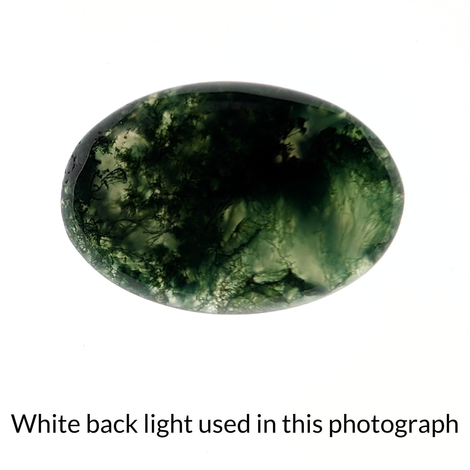 Moss Agate Oval Cabochon - 23.5mm by 16.4mm - Image 5