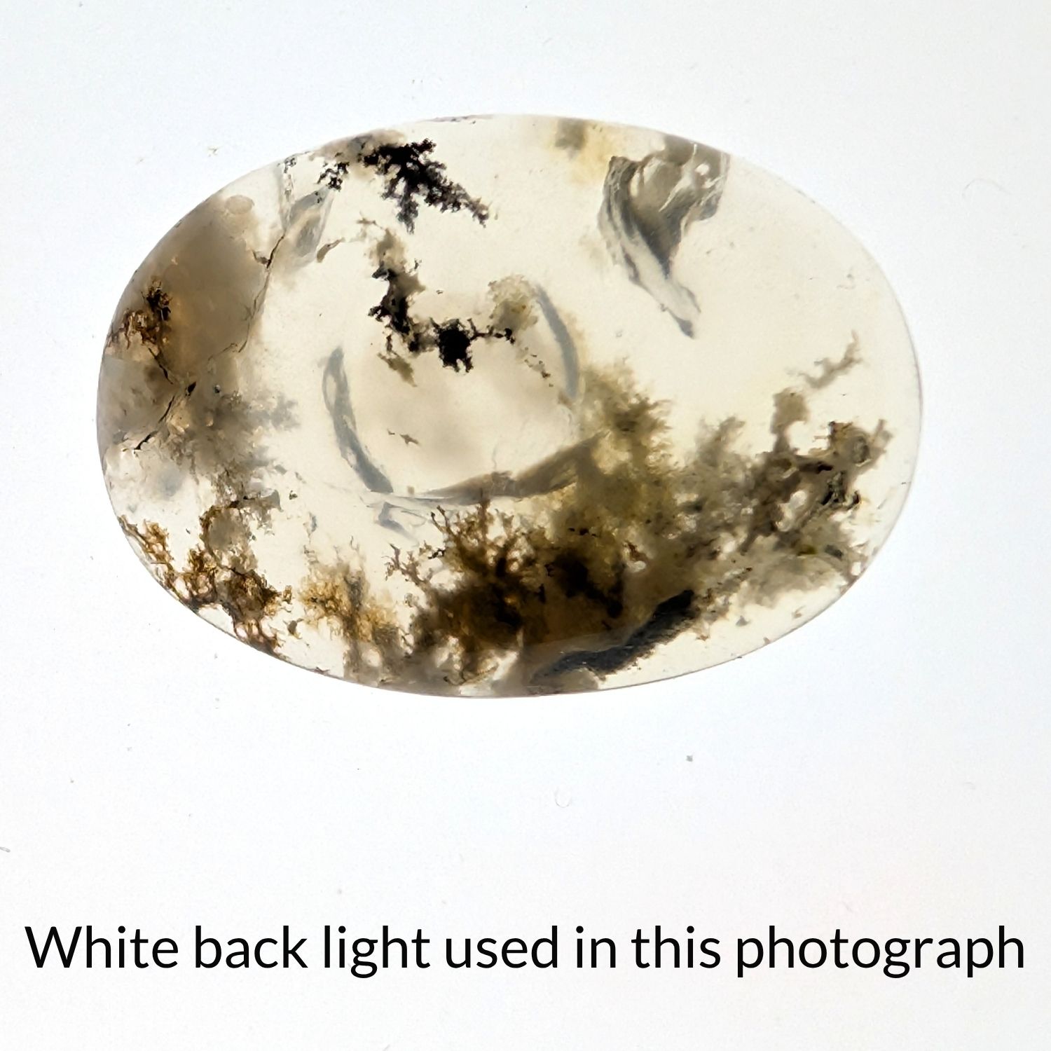 Dendritic Opal Cabochon Oval - 24.1mm by 17.4mm - Image 5