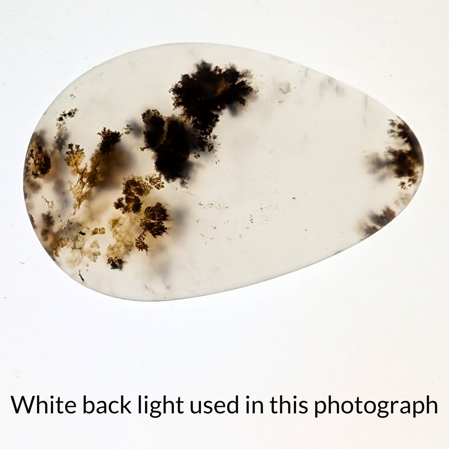 Dendritic Opal Cabochon - 26.1mm by 17mm - Image 5