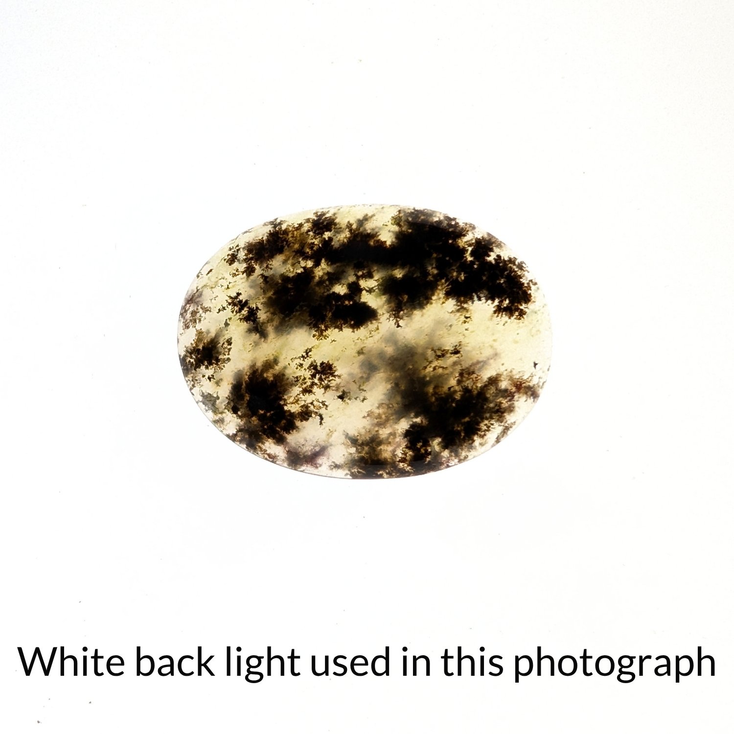 Dendritic Opal Oval Cabochon - 28.7mm by 21.4mm - Image 5