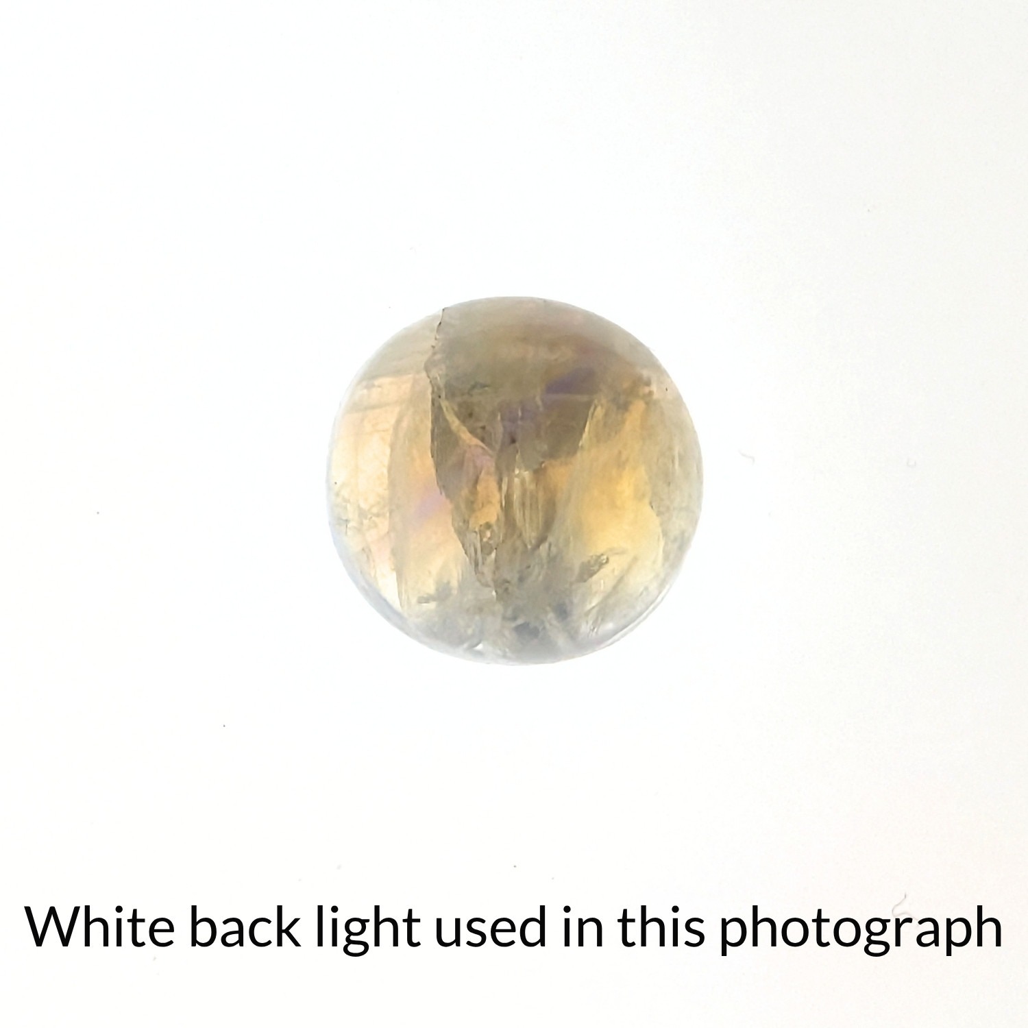 Moonstone Cabochon Round - 14mm - Image 5