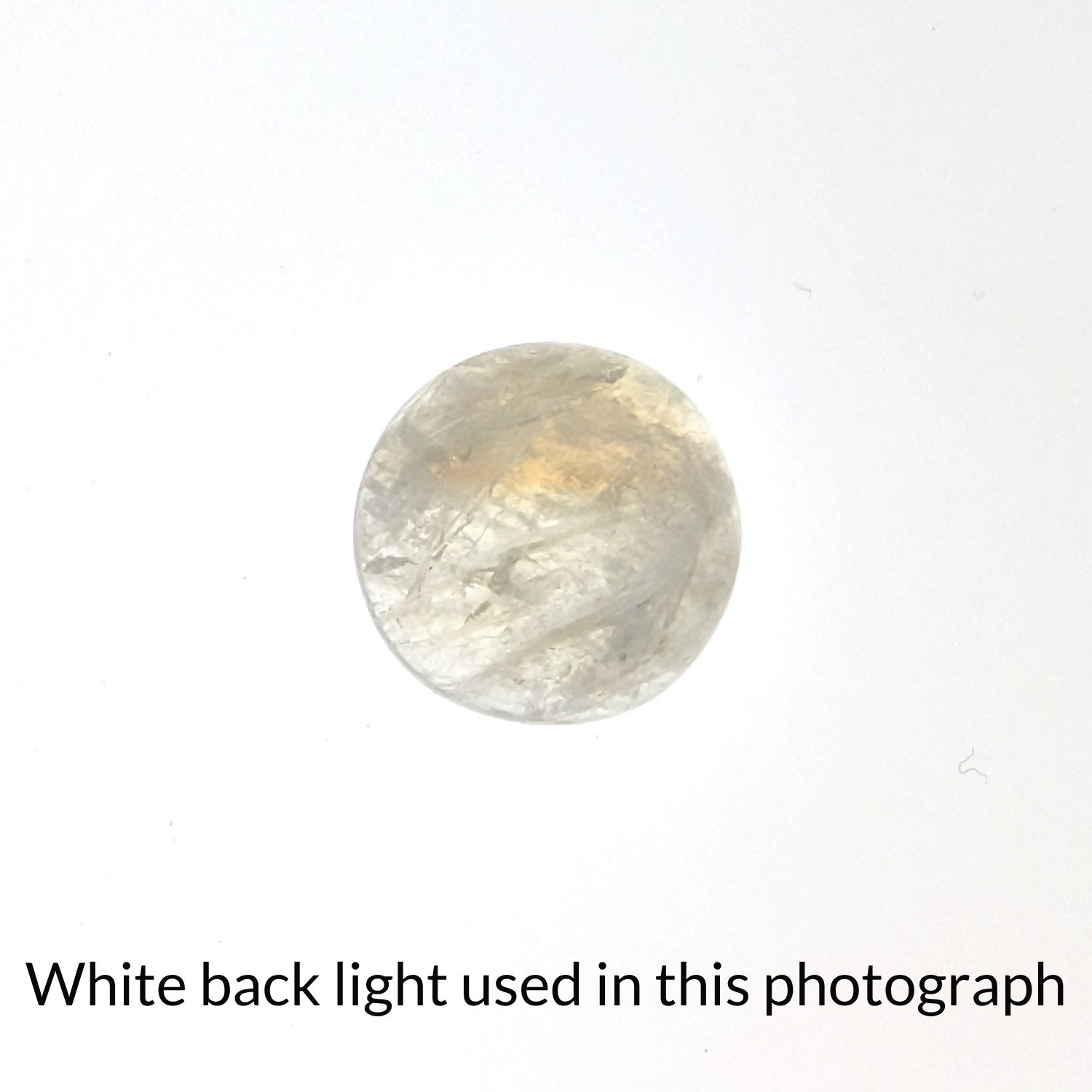 Moonstone Cabochon Round - 13.3mm - Image 5