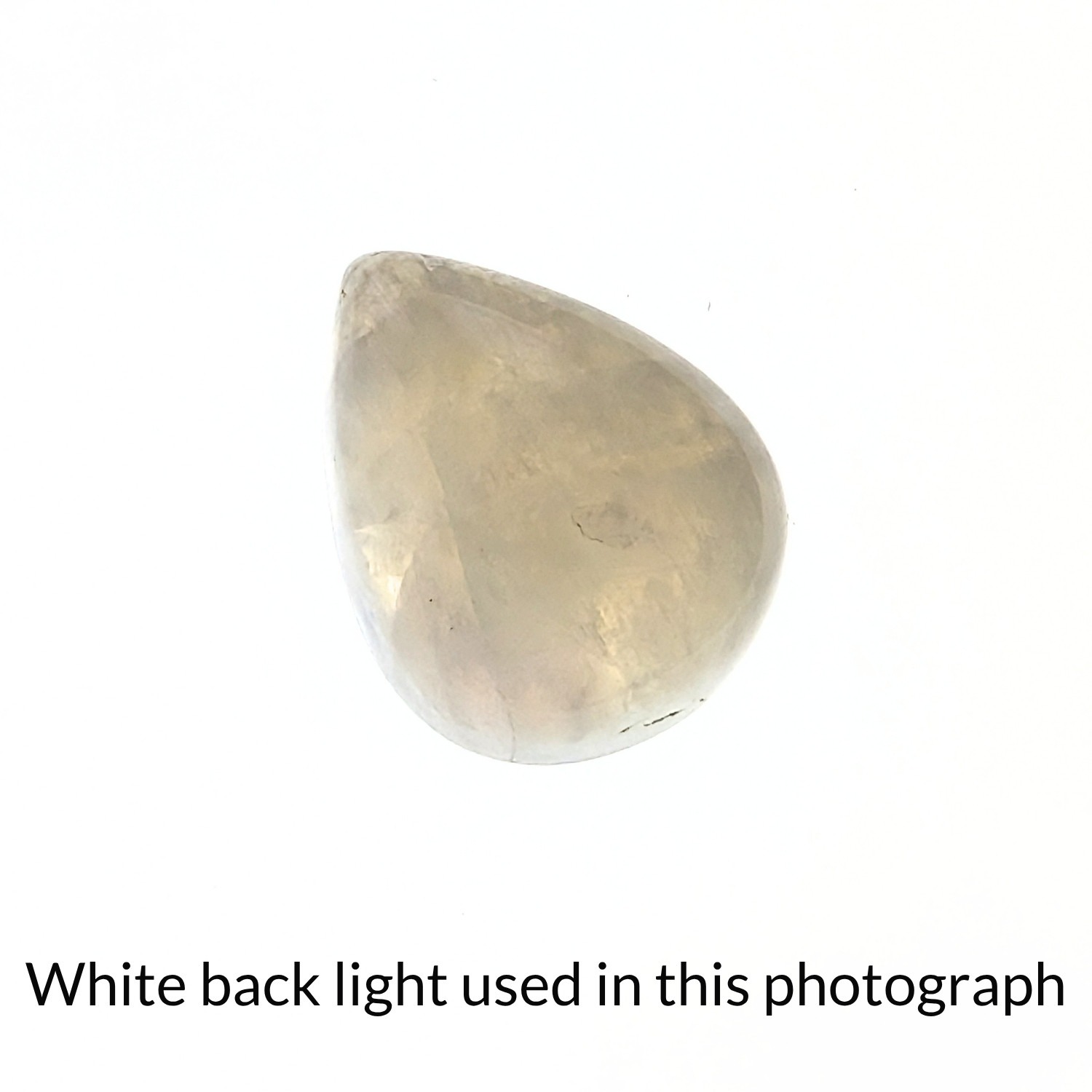 Moonstone Teardrop Cabochon - 18.3mm by 14.5mm - Image 7