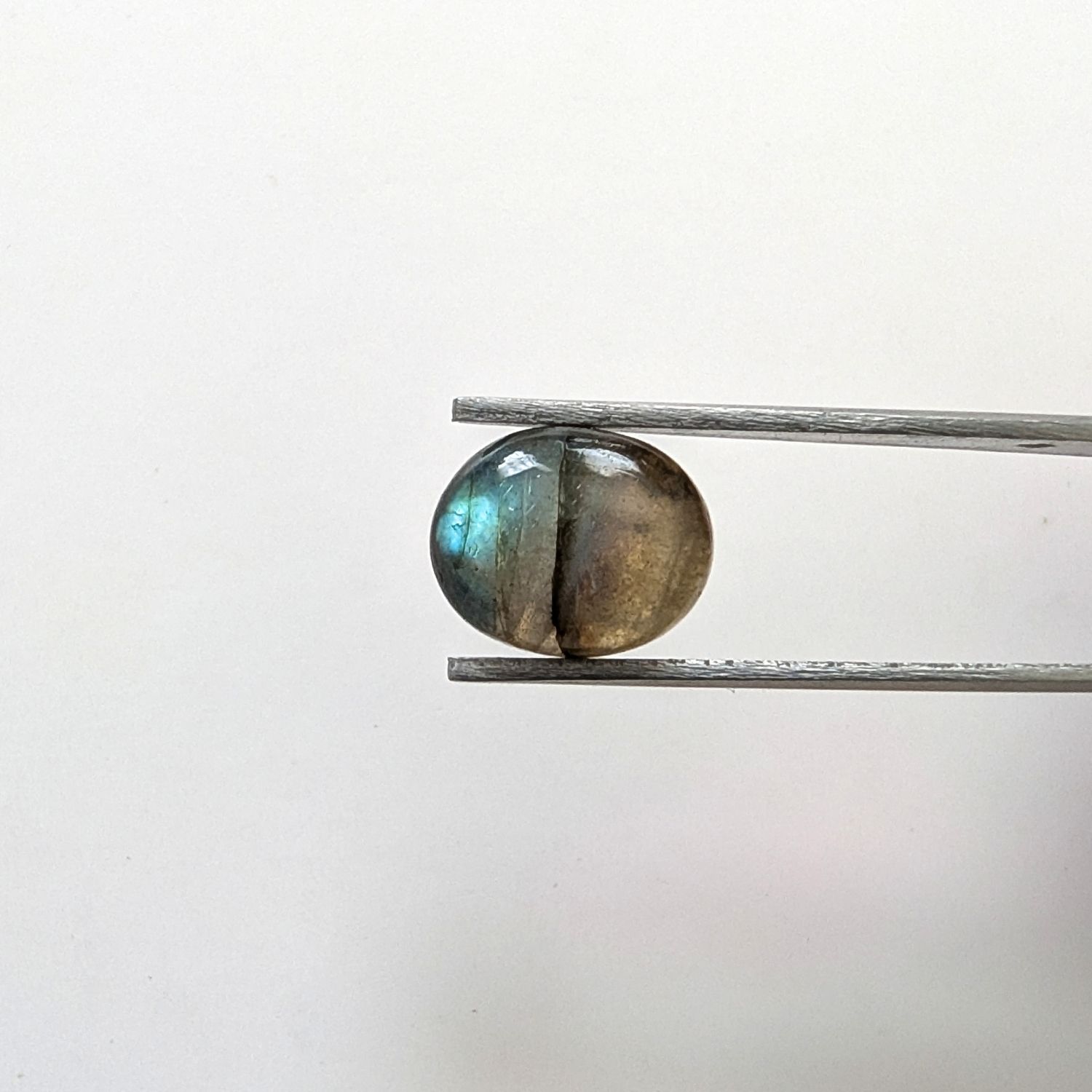 Labradorite Oval Cabochon - 11.1mm by 9.2mm - Image 2