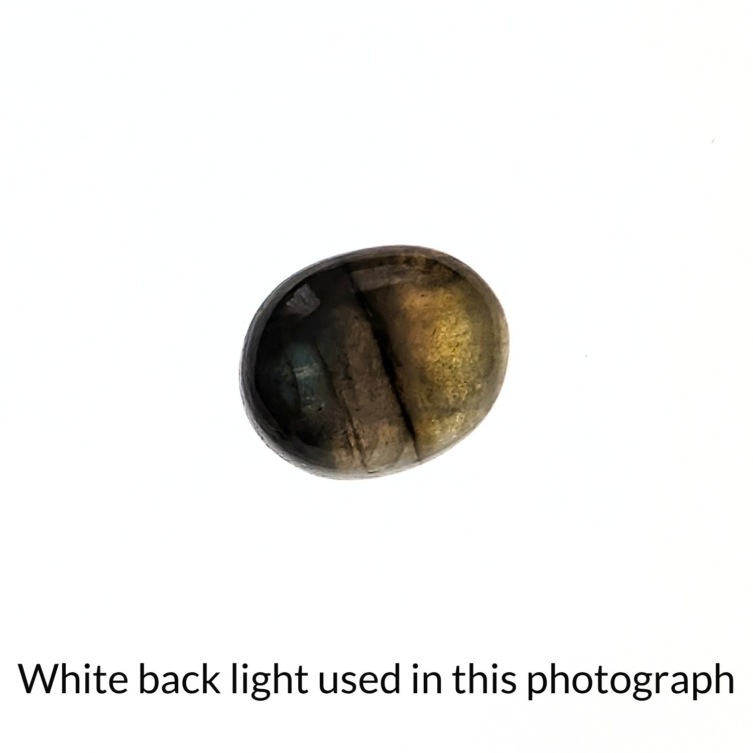 Labradorite Oval Cabochon - 11.1mm by 9.2mm - Image 6