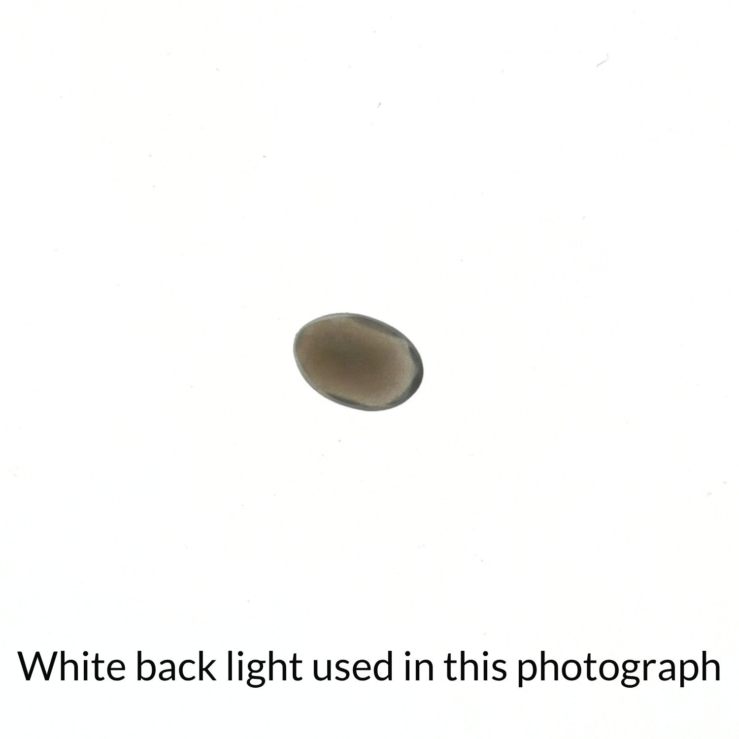 Faceted Grey Oval Moonstone – 5.6mm by 3.9mm - Image 4
