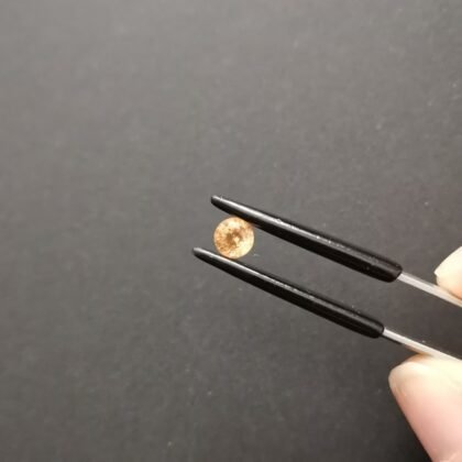 Orange Mali Garnet Round- 4.8mm