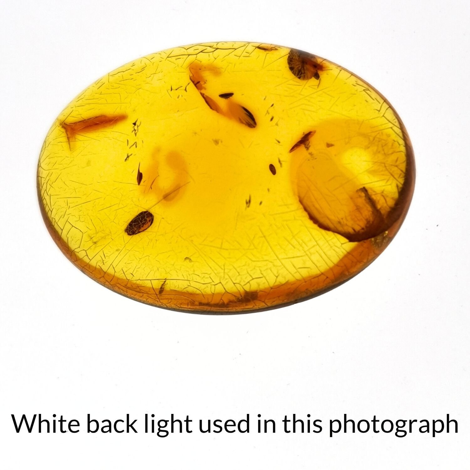 Oval Amber Cabochon – 29.5mm by 21.9mm - Image 4
