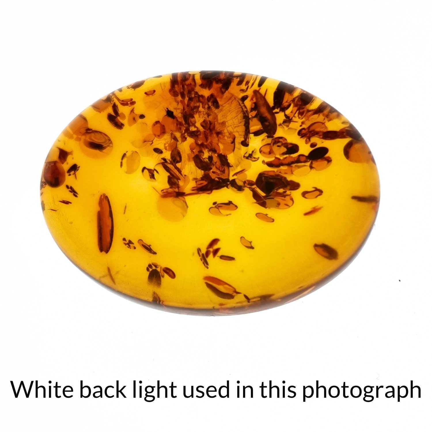 Oval Amber Cabochon – 30.1mm by 20.1mm - Image 4