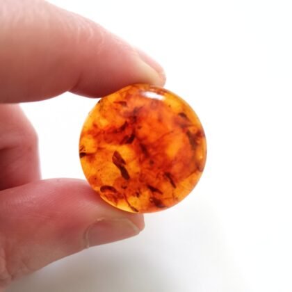 Round Amber Cabochon – 25mm