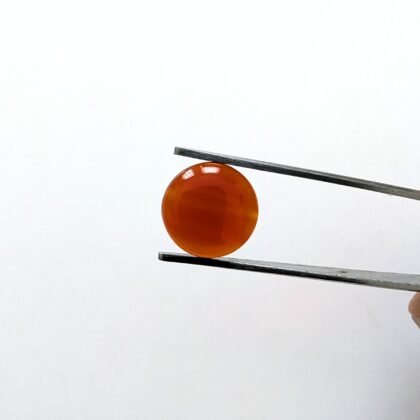 Orange Agate Cabochon Round - 11.9mm