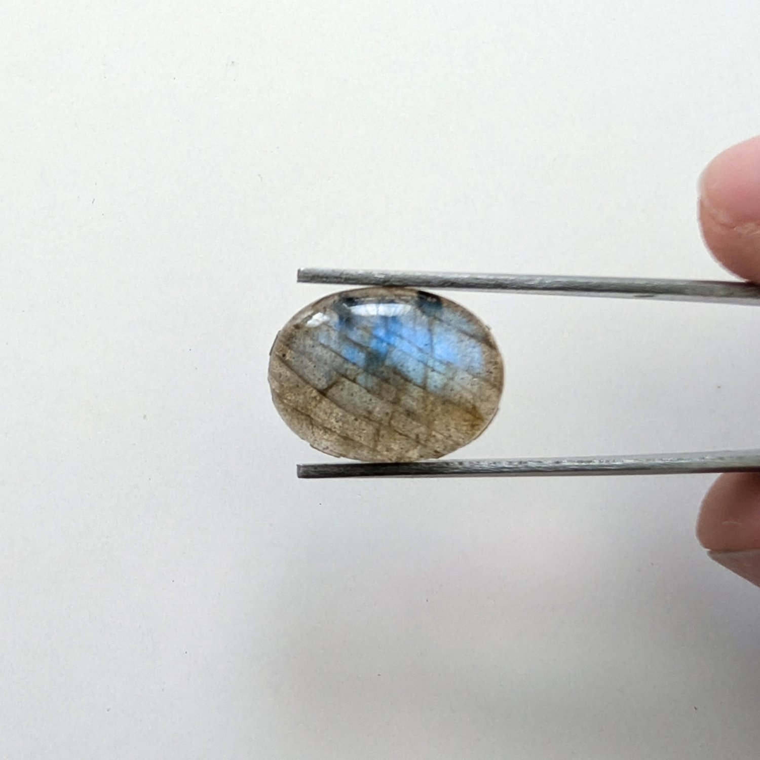Labradorite Oval Cabochon - 15.8mm by 11.8mm - Image 2