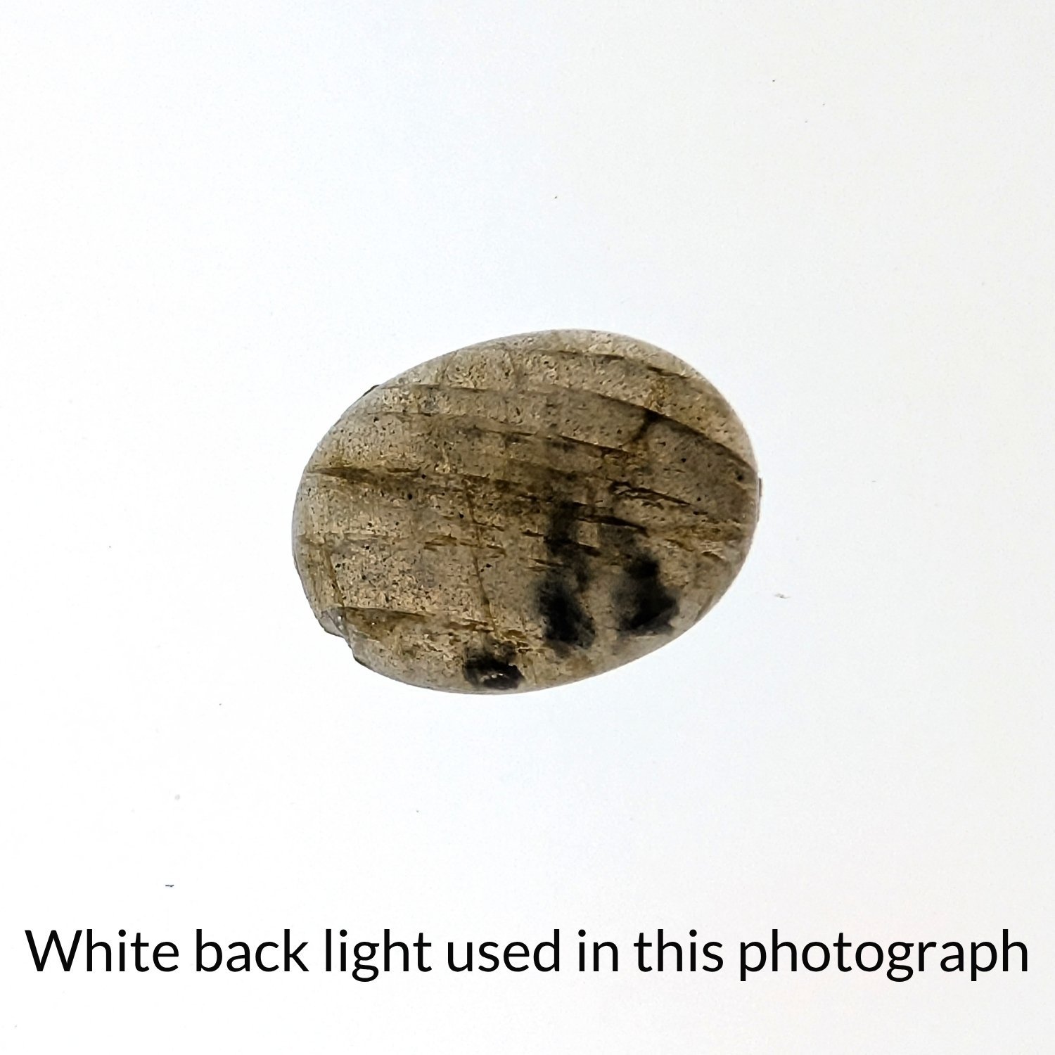 Labradorite Oval Cabochon - 15.8mm by 11.8mm - Image 5